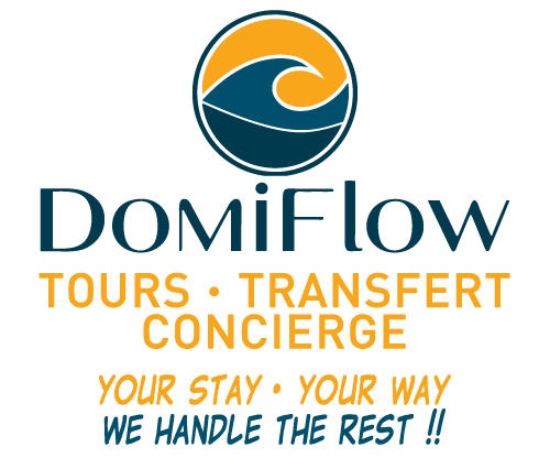 Domiflow
