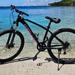 Langosta - Bayahibe