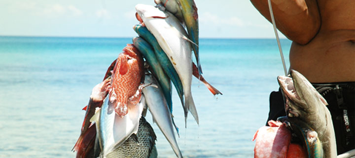 Pesca en playa Magallan