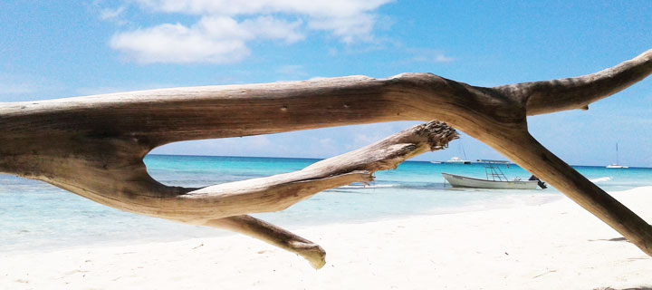 Playa de Bayahibe