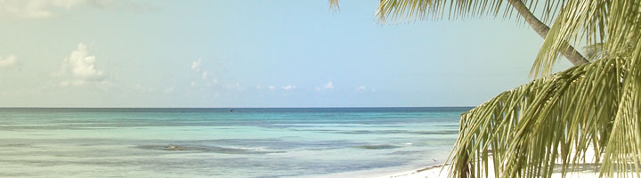 Isla Saona