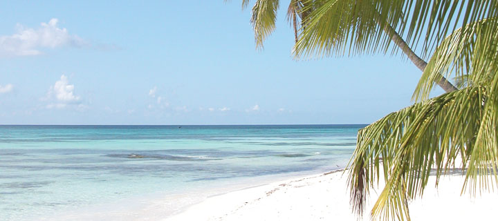 Isla Saona