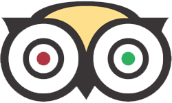 tripadvisoir Dominican Attitude